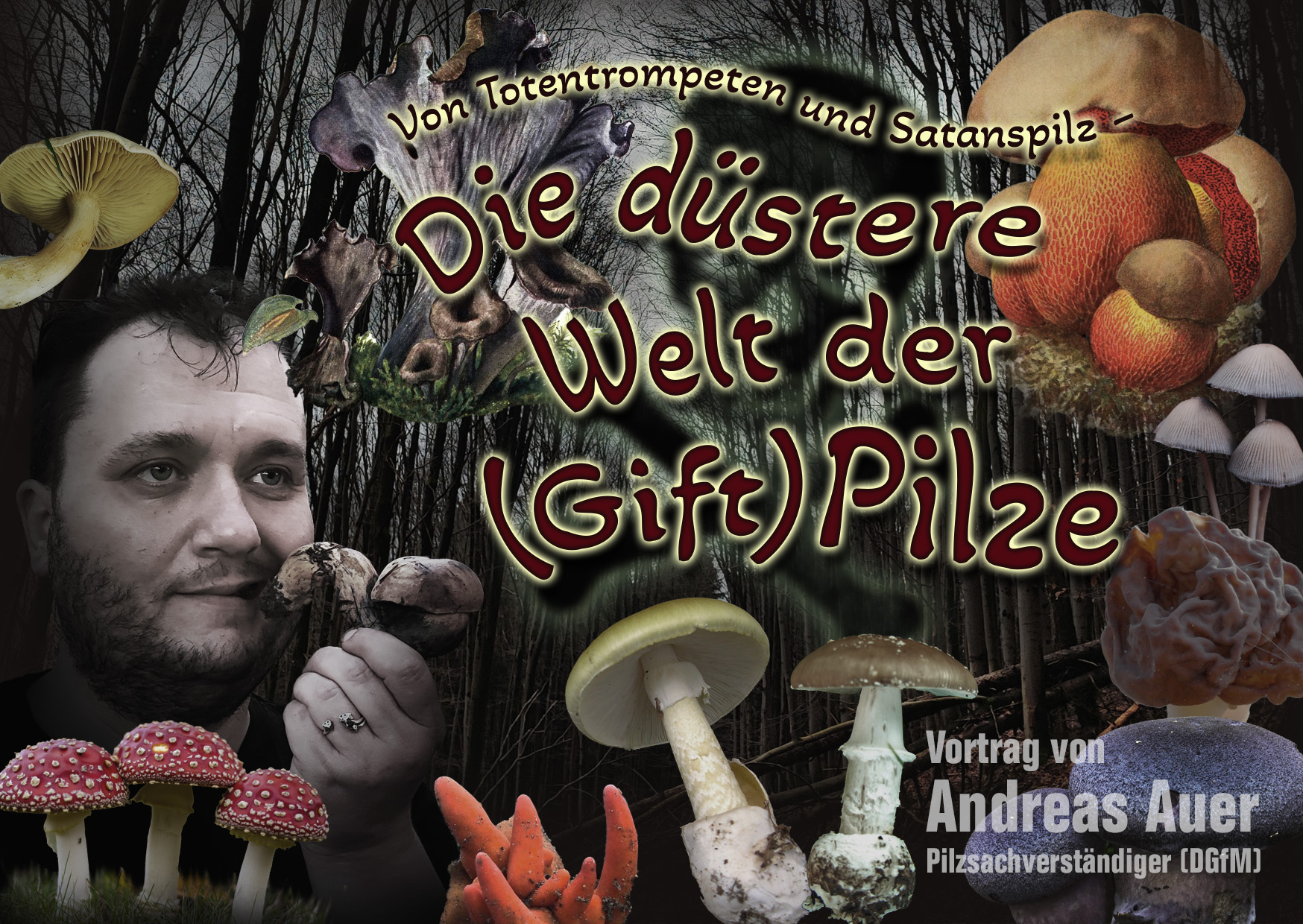 Von Totentrompete und Satanspilz – Die düstere Welt der (Gift)Pilze (Vortrag im Galeriehaus Hof) 19.9.2025