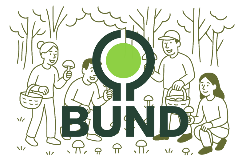 Pilzwanderung am 28.9.2025 (BUND Lonsee)